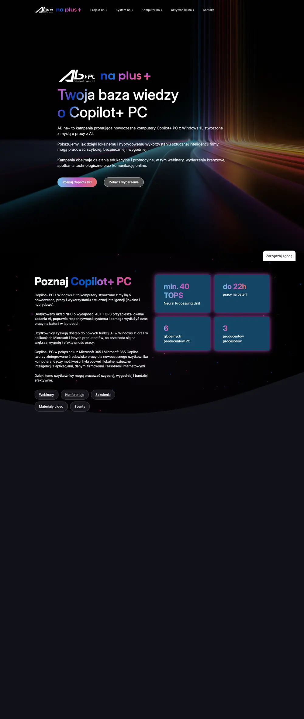 Realizacja PAGWEB: strona AB na Plus+